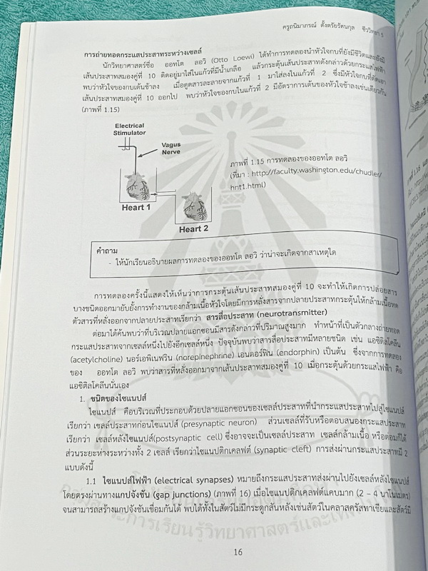 ►หนังสือเรียนโรงเรียนเตรียมอุดม◄ เอกสารประกอบการเรียนรายวิชาวิทยาศาสตร์ ชีววิทยา5 ระดับชั้น ม.6 จัดทำโดยกลุ่มสาระการเรียนรู้วิทยาศาสตร์ มีสรุปเนื้อหาและโจทย์แบบทดสอบ โจทย์เข้มข้น จดเล็กน้อย ไม่มีเฉลย หนังสือเล่มหนาใหญ่