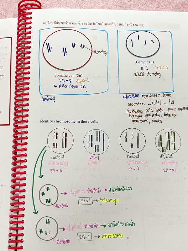 ►หมอพิชญ์ Biobeam◄ หนังสือเรียนชีววิทยา คอร์ส ICU ไอซียู ครบเซ็ท 8 เล่ม พร้อมไฟล์จดเนื้อหาครบทั้งเซ็ทแบบละเอียดมากครบทั้ง 8 เล่ม และไฟล์ชีทเสริม ในหนังสือเล่ม 1-6 จดครบเกือบทั้งเล่ม จดละเอียด มีวาดภาพประกอบเนื้อหาเยอะมาก , เล่ม 7-8 มีจดเล็กน้อย แบบฝึกหัดป