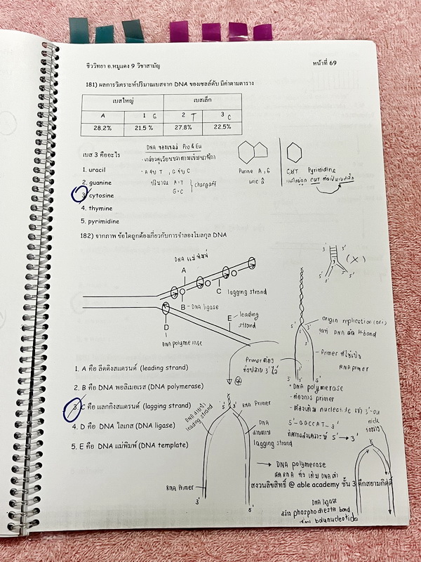 ►อ.หมูแดง◄ หนังสือกวดวิชาชีววิทยา Able Academy อ.หมูแดง เพื่อสอบเข้าแพทย์ กสพท. และสอบเข้ามหาวิทยาลัย Series 2 จดครบเกือบทั้งเล่ม จดละเอียด หนังสือใส่ปกสันเกลียว เปิดอ่านง่าย