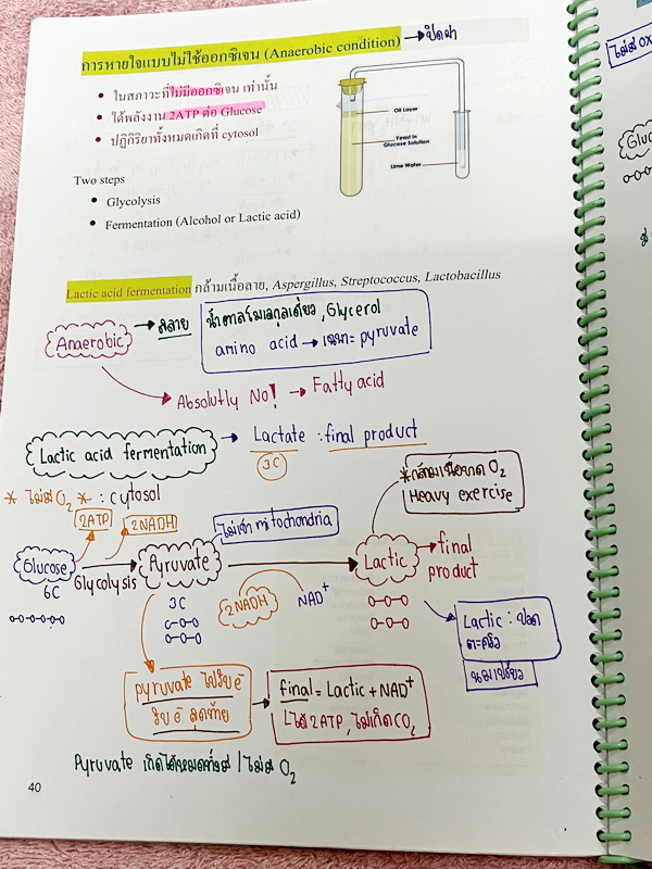 ►หมอพิชญ์ Biobeam◄ หนังสือเรียนชีววิทยา คอร์ส ICU ไอซียู ครบเซ็ท 8 เล่ม พร้อมไฟล์จดเนื้อหาครบทั้งเซ็ทแบบละเอียดมากครบทั้ง 8 เล่ม และไฟล์ชีทเสริม ในหนังสือเล่ม 1-6 จดครบเกือบทั้งเล่ม จดละเอียด มีวาดภาพประกอบเนื้อหาเยอะมาก , เล่ม 7-8 มีจดเล็กน้อย แบบฝึกหัดป