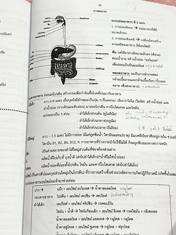 ►สอบเข้าม.1◄ หนังสือกวดวิชาครูพจน์ Gifted วิทยาศาสตร์เนื้อหาชีวะเล่ม1+2 ห้องกิ๊ฟเต็ด ป.6 มีสรุปเนื้อหาสำคัญ โจทย์มีความยากเข้มข้นระดับ Advaned ทั้งเนื้อหาและโจทย์มีความยากลึกถึงเตรียมตัวสอบเข้า ม.1 ร.ร.ดัง จดบางหน้า มีเฉลยละเอียดพร้อมเหตุผลอย่างละเอียดบาง