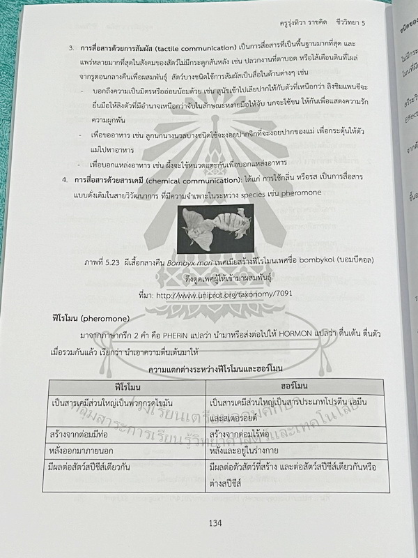 ►หนังสือเรียนโรงเรียนเตรียมอุดม◄ เอกสารประกอบการเรียนรายวิชาวิทยาศาสตร์ ชีววิทยา5 ระดับชั้น ม.6 จัดทำโดยกลุ่มสาระการเรียนรู้วิทยาศาสตร์ มีสรุปเนื้อหาและโจทย์แบบทดสอบ โจทย์เข้มข้น จดเล็กน้อย ไม่มีเฉลย หนังสือเล่มหนาใหญ่