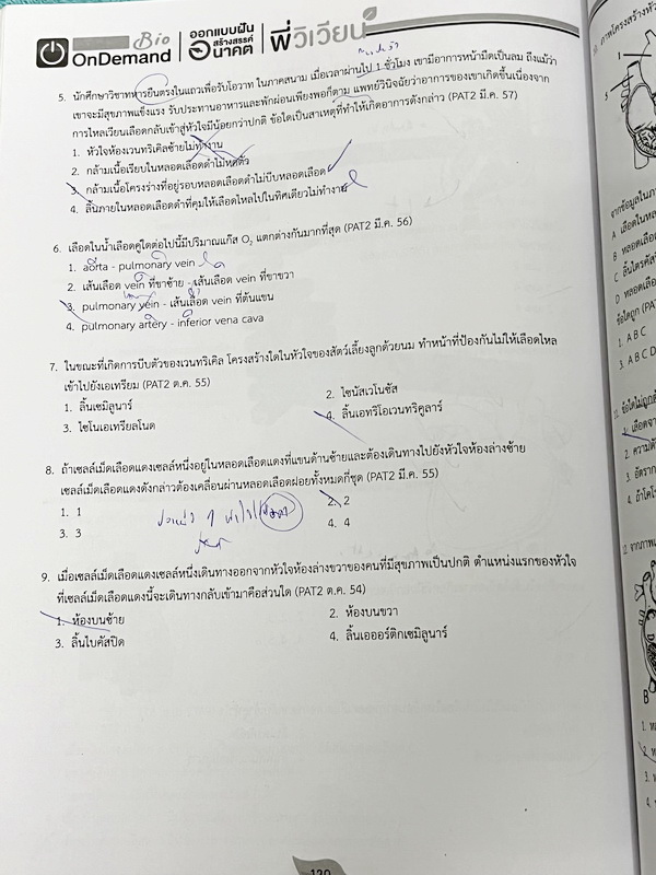 ►ชีววิทยา ม.ปลาย◄ หนังสือกวดวิชาออนดีมานด์ ชีววิทยาพี่วิเวียน TCAS ครบเซ็ท 6 เล่ม + ไฟล์โจทย์ข้อสอบปี 2565-2566 และเฉลยละเอียด - ในหนังสือมีสรุปเนื้อหาวิชาชีววิทยา ม.ปลายอย่างละเอียด เนื้อหาครอบคลุมตั้งแต่ระดับชั้น ม.4-5-6 เนื้อหาลึกถึงสอบเข้ามหาลัย หนังส