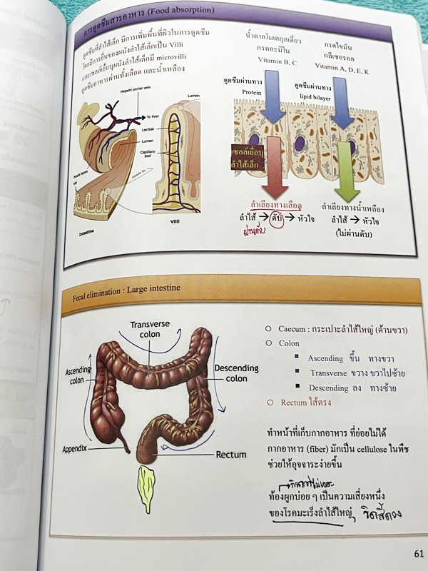 ►หนังสือเรียนชีวะ ม.ต้น◄ หนังสือกวดวิชาหมอพิชญ์ไบโอบีม Fundamental Coma สรุปเนื้อหาของชีวะ ม.ต้นแบบกระชับสั้นๆทั้งหมดในเล่มเดียว เนื้อหายากลึกถึงเตรียมตัวสอบเข้า ม.4 โรงเรียนดัง จดครบเกือบทั้งเล่ม จดละเอียด หนังสือพิมพ์สีสวยงามเกือบทั้งเล่ม