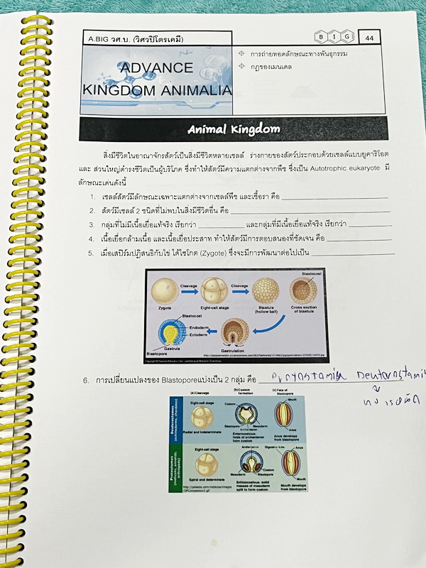 ►หนังสือชีววิทยา ม.ต้น◄ หนังสือเรียนพิเศษ อ.บิ๊ก ชีววิทยา 3 ระบบนิเวศ พันธุ์ศาสตร์ สัตว์ มีสรุปเนื้อหาและโจทย์ Test ข้อสอบประจำบท มีจดบางหน้า เนื้อหาเว้นว่างให้เติมเองเยอะมาก โจทย์ข้อสอบมีจดเฉลยบางข้อและไม่มีเฉลย หนังสือใส่ปกสันเกลียว เปิดอ่านง่าย