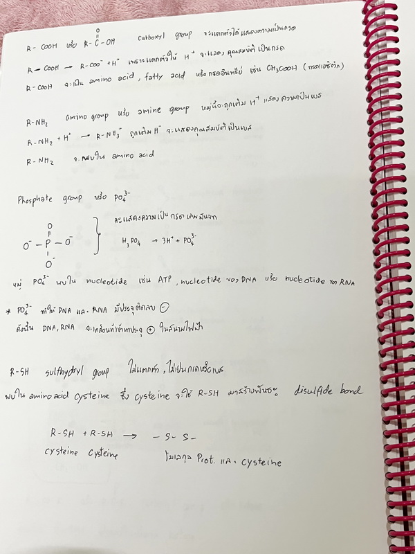 ►อ.หมูแดง◄ ชีววิทยาอาจารย์หมูแดง ชีววิทยา ม.4 เทอม 2 หลักสูตรเตรียมอุดม จดบางหน้า จดละเอียด เนื้อหาตีพิมพ์สมบูรณ์ทั้งเล่ม หนังสือใส่ปกสันเกลียว เปิดอ่านง่าย หนังสือเล่มหนาใหญ่