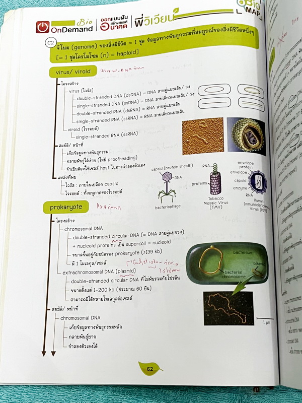 ►ชีววิทยา ม.ปลาย◄ หนังสือกวดวิชาออนดีมานด์ ชีววิทยาพี่วิเวียน TCAS ครบเซ็ท 6 เล่ม + ไฟล์โจทย์ข้อสอบปี 2565-2566 และเฉลยละเอียด - ในหนังสือมีสรุปเนื้อหาวิชาชีววิทยา ม.ปลายอย่างละเอียด เนื้อหาครอบคลุมตั้งแต่ระดับชั้น ม.4-5-6 เนื้อหาลึกถึงสอบเข้ามหาลัย หนังส