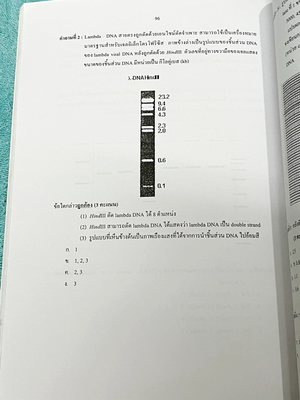 ►ข้อสอบโอลิมปิก◄ ข้อสอบชีววิทยาโอลิมปิกระหว่างประเทศ ปี 2548 ณ ประเทศกรุงปักกิ่ง สาธารณรัฐประชาชนจีน โดยสถาบันส่งเสริมการสอบวิทยาศาสตร์และเทคโนโลยี สสวท. ในหนังสือรวบรวมข้อสอบแข่งขันจริง มีเฉลยด้านหลัง หายาก ไม่มีตีพิมพ์เพิ่มแล้ว ขายเกินราคาปก หนังสือใหม่