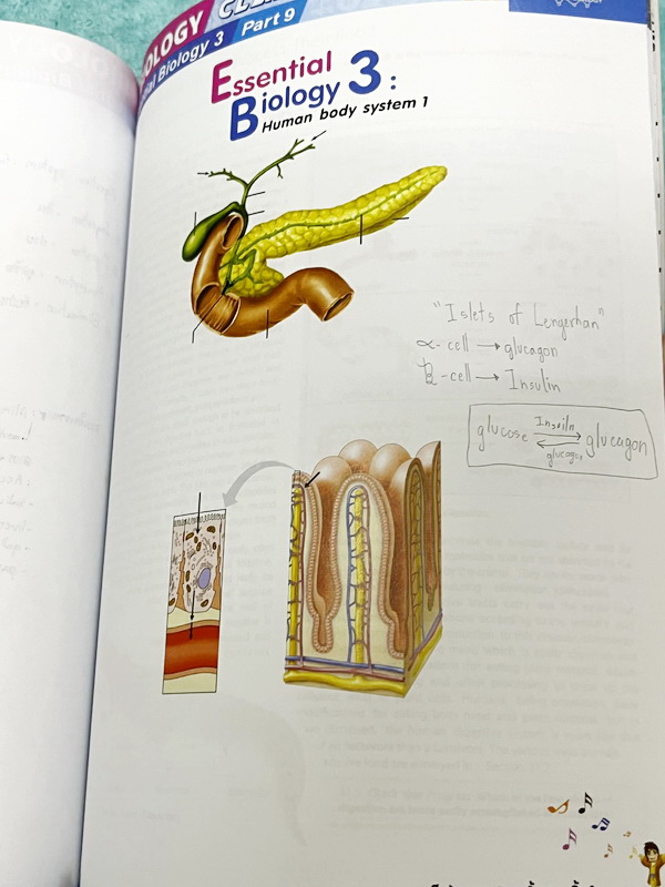 ►ครูบาส◄ หนังสือกวดวิชาชีววิทยา Essential Biology 3 เล่ม1+2 หัวข้อ Human Body System มีสรุปเนื้อหา และรวมโจทย์ข้อสอบแข่งขันประจำบท หนังสือมีเขียนเล็กน้อย ไม่มีเฉลย หนังสือสภาพแทบใหม่เอี่ยม หนังสือพิมพ์สีสวยงามน่าอ่าน