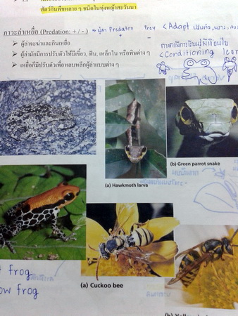 หนังสือหมอพิชญ์ไบโอบีม ม.ต้น Fundamental Biology : Introduction to Biology