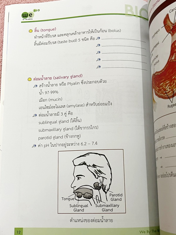 ►We Brain◄ หนังสือวีเบรน Biology For Junior ชีววิทยา ม.ต้น 5 เล่ม สรุปเนื้อหาระดับชั้นม.1-ม.3 มีโจทย์แบบทดสอบประจำบท เนื้อหาบางจุดที่เว้นไว้ให้เติมเอง จดบางหน้า จดละเอียด ไม่มีเฉลย หนังสือสภาพแทบใหม่เอี่ยม หนังสือพิมพ์สีสวยงาม