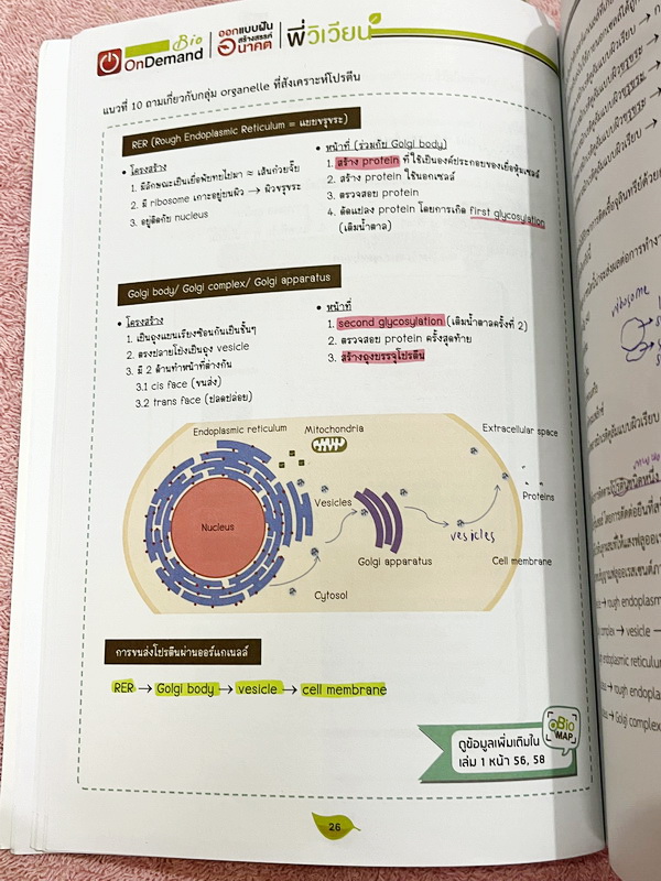 ►A-Level◄ หนังสือกวดวิชาออนดีมานด์ Upskill อัพสกิลชีววิทยา A-Level เล่ม 1-2 มีสรุปเนื้อหาสำคัญสั้นๆกระชับ เพื่อใช้เตรียมสอบ ม.ปลาย A-Level มีโจทย์เยอะมาก จดบางหน้า จดละเอียด ไม่มีเฉลย หนังสือเล่มใหญ่