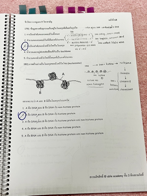 ►อ.หมูแดง◄ หนังสือกวดวิชาชีววิทยา Able Academy อ.หมูแดง เพื่อสอบเข้าแพทย์ กสพท. และสอบเข้ามหาวิทยาลัย Series 2 จดครบเกือบทั้งเล่ม จดละเอียด หนังสือใส่ปกสันเกลียว เปิดอ่านง่าย
