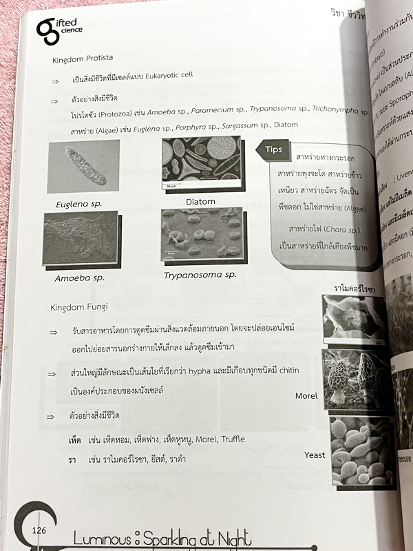 ►หนังสือรุ่นพี่เตรียมอุดม◄ Luminous หนังสือสรุปเนื้อหาสาระการเรียนรู้ วิทยาศาสตร์กายภาพ ชีววิทยา เรียบเรียงโดยรุ่นพี่นักเรียนโรงเรียนเตรียมอุดมศึกษา มีสรุปเจาะเนื้อหาวิชาวิทย์กายและวิชาชีววิทยาโดยเฉพาะ มี Tips เทคนิคลัดในการทำข้อสอบแทรกอยู่หลายข้อ มีโจทย์