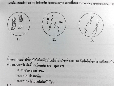 หนังสือ Biobeam for Entrance : Biology of Animals 2
