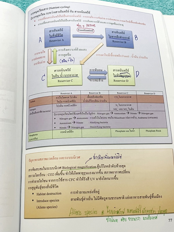 ►หนังสือเรียนชีวะ ม.ต้น◄ หนังสือกวดวิชาหมอพิชญ์ไบโอบีม Fundamental Coma สรุปเนื้อหาของชีวะ ม.ต้นแบบกระชับสั้นๆทั้งหมดในเล่มเดียว เนื้อหายากลึกถึงเตรียมตัวสอบเข้า ม.4 โรงเรียนดัง จดครบเกือบทั้งเล่ม จดละเอียด หนังสือพิมพ์สีสวยงามเกือบทั้งเล่ม