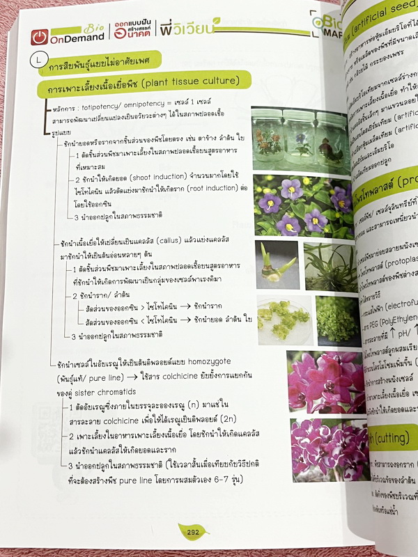 ►สอบเข้ากำเนิดวิทย์,มหิดล,โรงเรียนแข่งขันสูง◄ หนังสือกวดวิชาออนดีมานด์ พี่วิเวียน ติวเข้มเนื้อหาชีววิทยา สอบเข้า มหิดล กำเนิดวิทย์ และโรงเรียนแข่งขันสูง มีสรุปเนื้อหาและโจทย์แบบฝึกหัดประจำบท เนื้อหาตีพิมพ์สมบูรณ์ โจทย์มีความยากระดับ Advanced เหมาะสำหรับเด