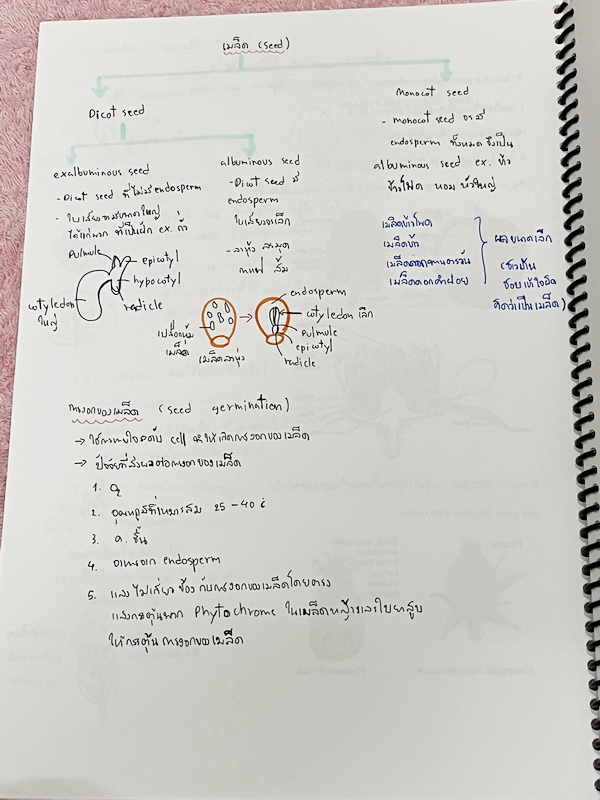 ►อ.หมูแดง◄ BIO 5120 หนังสือกวดวิชาชีววิทยา อ.หมูแดง ม.5 เทอม 2 หลักสูตรเตรียมอุดม จดครบเกือบทั้งเล่ม จดละเอียดมาก มีวาดภาพประกอบเนื้อหาหลายหน้า หนังสือพิมพ์สีสวยงาม หนังสือใส่ปกสันเกลียว เปิดอ่านง่าย