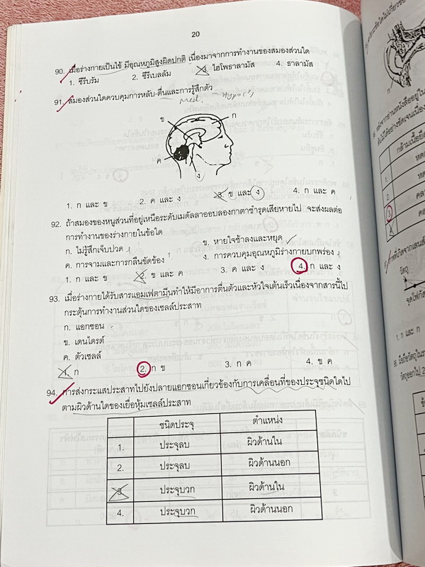 ►หนังสือเรียนโรงเรียนเตรียมอุดม◄ เอกสารประกอบการเรียนโจทย์เสริมทักษะวิชาชีววิทยา ม.6 ตะลุยโจทย์ทั้งเล่ม จัดทำโดยกลุ่มสาระการเรียนรู้วิทยาศาสตร์ มีโจทย์เข้มข้น จดบางหน้า ไม่มีเฉลย