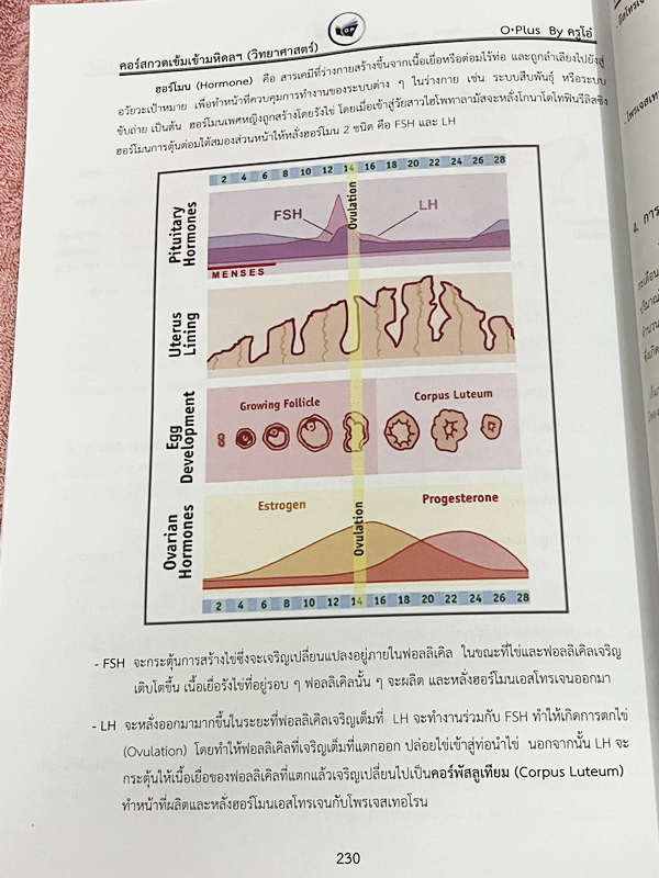 ►สอบเข้ามหิดล◄ พี่โอ๋โอพลัส Oplus วิทยาศาสตร์กวดเข้มเข้ามหิดลวิทยานุสรณ์ เล่ม 1+2 ครบเซ็ท สรุปเนื้อหาครบทุกบท มีแบบฝึกหัดประจำบท ในหนังสือมีจดบางหน้า จดละเอียด ทุกบทมีการบ้านเป็นตะลุยข้อสอบเก่า 12 ปีล่าสุด มีเฉลยครบทุกข้อ ด้านหลังมีข้อสอบ สสวท. วิชาวิทยาศ
