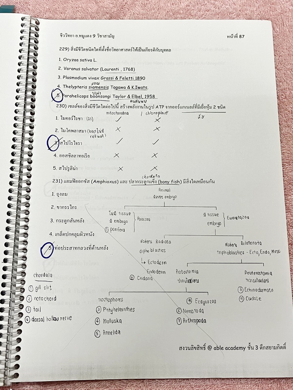 ►อ.หมูแดง◄ หนังสือกวดวิชาชีววิทยา Able Academy อ.หมูแดง เพื่อสอบเข้าแพทย์ กสพท. และสอบเข้ามหาวิทยาลัย Series 2 จดครบเกือบทั้งเล่ม จดละเอียด หนังสือใส่ปกสันเกลียว เปิดอ่านง่าย