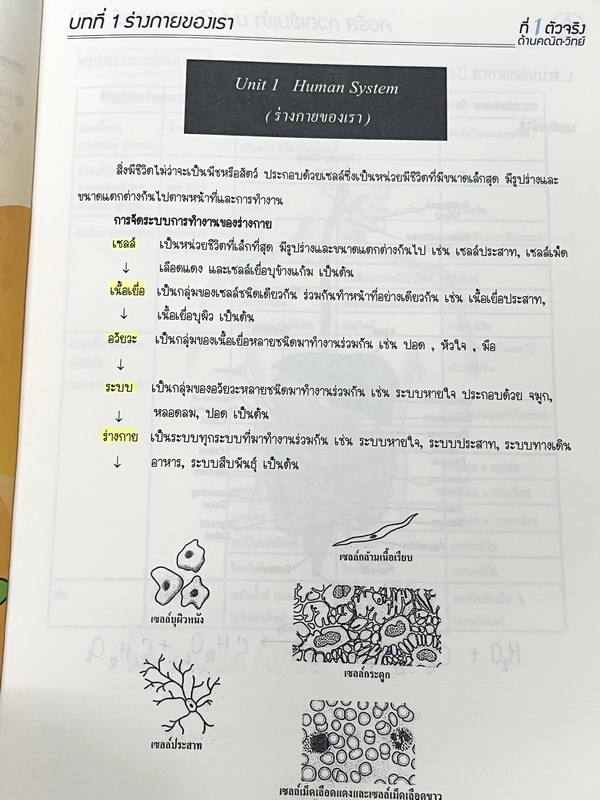 ►สอบเข้าม.1◄ พี่โอ๋โอพลัส Oplus กวดเข้มเข้า ม.1 วิทยาศาสตร์เล่ม 1+2 มีสรุปเนื้อหาและข้อสอบคัดเลือกสอบเข้า ม.1 โรงเรียนดัง ในหนังสือมีจดบางหน้า จดละเอียดมาก เนื้อหาตีพิมพ์สมบูรณ์ทั้งเซ็ท ด้านหลังมีเฉลยครบทุกข้อ หนังสือพิมพ์สีบางหน้า หนังสือเล่มหนาใหญ่