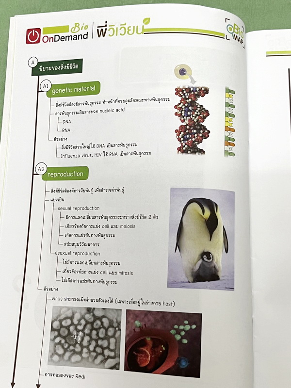 ►ออนดีมานด์◄ พี่วิเวียน หนังสือกวดวิชาคอร์สรากศัพท์ชีววิทยา ม.ปลาย ในหนังสือมีสรุปเนื้อหาสมบูรณ์ มีแยกหมวดคำศัพท์ทางชีววิทยาแบ่งออกเป็น Prefix , Suffix และ Root แบบฝึกหัดไม่มีจด และไม่มีเฉลย มี Update ข้อสอบด้านหลัง หนังสือพิมพ์สีทั้งเล่ม หนังสือหนาเพียงแ