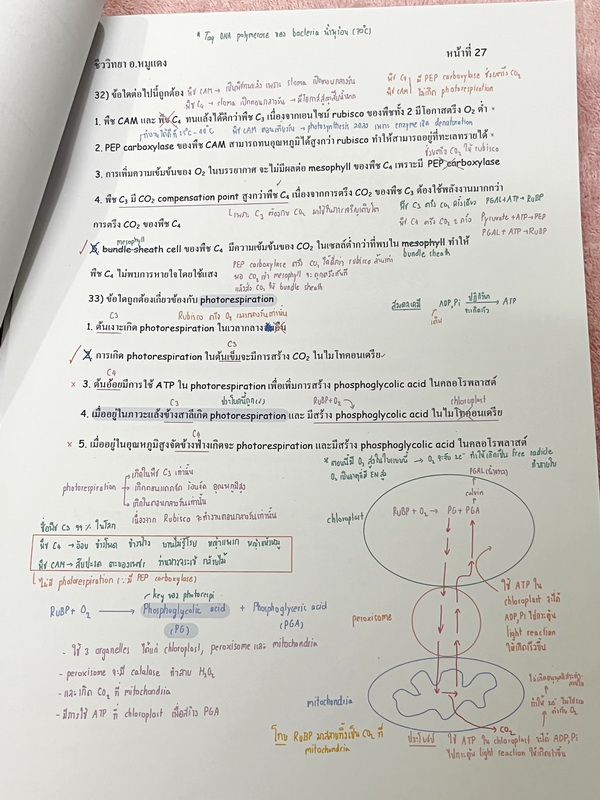 ►อ.หมูแดง◄ ชีววิทยาอาจารย์หมูแดง ข้อสอบแบบจับเวลา 3 ชุด + ข้อสอบพิเศษอีก 1 ชุด รวม 4 ชุด ชุดละ 50 ข้อ รวมทั้งหมด 200 ข้อ มีจดเฉลยครบเกือบทั้งหมด
