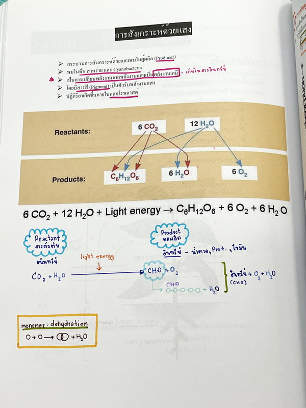 ►หนังสือเรียนชีวะ ม.ต้น◄ หนังสือกวดวิชาหมอพิชญ์ไบโอบีม Fundamental Biology ชีววิทยา ม.ต้น Biobeam สรุปเนื้อหาทุกบทในวิชาวิทยาศาสตร์ชีววิทยาระดับชั้นมัธยมศึกษาตอนต้น เนื้อหายากลึกถึงสอบเข้า ม.4 ร.ร.ดัง จดครบเกือบทั้งเล่ม จดด้วยดินสอและปากกาสีสวยงาม มีวาดรู