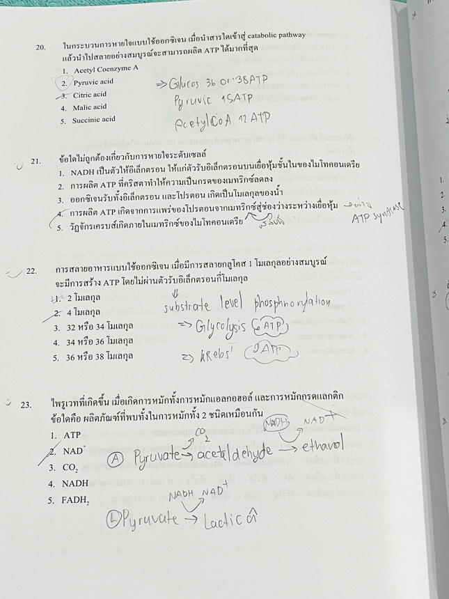 ►หมอพิชญ์ Biobeam◄ หนังสือคอร์ส Coma เล่มตะลุยโจทย์ชีววิทยา ม.ปลาย รวมโจทย์ทุกบททุกเรื่อง มีโจทย์ทั้งหมด 13 ชุด รวมทั้งหมด 535 ข้อ จดครบเกือบทั้งเล่ม จดละเอียด