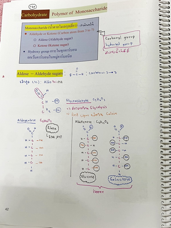►หมอพิชญ์ Biobeam◄ หนังสือเรียนชีววิทยา คอร์ส ICU ไอซียู ครบเซ็ท 8 เล่ม พร้อมไฟล์จดเนื้อหาครบทั้งเซ็ทแบบละเอียดมากครบทั้ง 8 เล่ม และไฟล์ชีทเสริม ในหนังสือเล่ม 1-3 มีจดบางหน้า จดละเอียด เล่ม 4-8 มีจดเล็กน้อย แบบฝึกหัดประจำบทมีจดเฉลยบางข้อ ส่วนข้อที่ไม่ได้จ