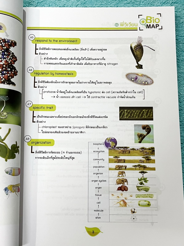►หนังสือสรุปชีววิทยา◄ ปกปีใหม่ 2566-2567 หนังสือกวดวิชา Ondemand ออนดีมานด์ พี่วิเวียน นพ.วีรวัช Biomap ชีววิทยาเล่ม 1+2 สรุปเนื้อหาวิชาชีววิทยาระดับชั้น ม.ปลายทั้งหมด ครอบคลุมเนื้อหาตั้งแต่ชั้น ม.4-5-6 เนื้อหาลึกถึงสอบเข้ามหาวิทยาลัย เนื้อหาตีพิมพ์สมบูรณ