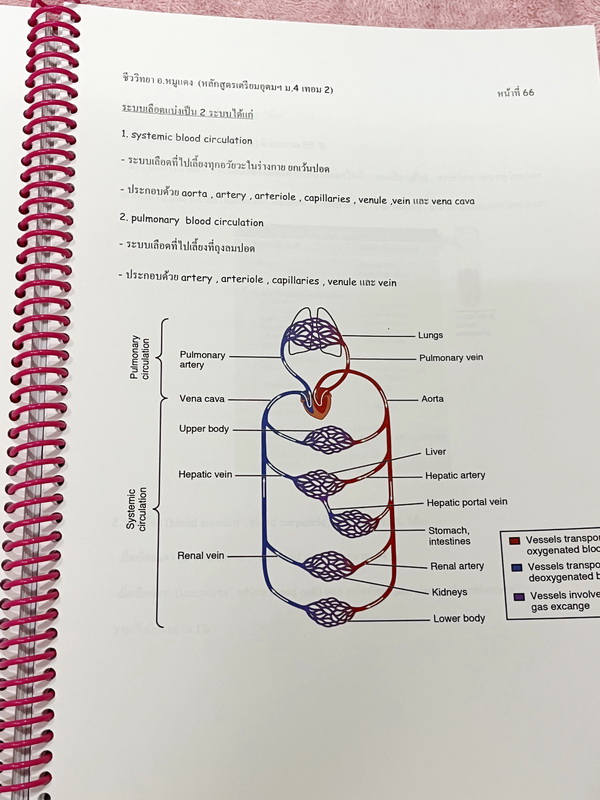 ►อ.หมูแดง◄ ชีววิทยาอาจารย์หมูแดง ชีววิทยา ม.4 เทอม 2 หลักสูตรเตรียมอุดม จดบางหน้า จดละเอียด เนื้อหาตีพิมพ์สมบูรณ์ทั้งเล่ม หนังสือใส่ปกสันเกลียว เปิดอ่านง่าย หนังสือเล่มหนาใหญ่