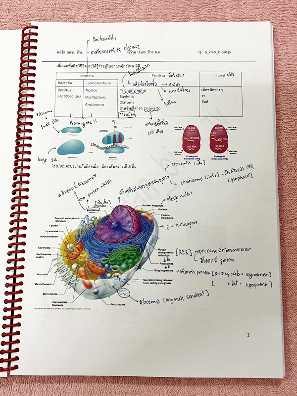 ►ชีววิทยา สอวน.◄ หนังสือกวดวิชาครูว่าน มีสรุปเนื้อหา โจทย์ข้อสอบจริง สอวน. ในปีที่ผ่านๆมา เนื้อหามีเว้นไว้ให้เติมเองเยอะมาก มีจดบางหน้า จดละเอียด ไม่มีเฉลย หนังสือเล่มหนาใหญ่มาก