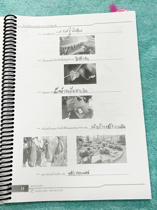 ►วิทย์ประถมปลาย◄ หนังสือ อ.ณัฐวุฒิ SCI Primary Pro 1-2 วิทยาศาสตร์ประถมปลาย เตรียมความพร้อมสอบเข้า ม.1 สรุปเนื้อหาสำคัญ มีโจทย์ทบทวนความรู้ จดครบเกือบทั้งเล่ม จดละเอียด ด้านหลังมีเว้นว่างไปบ่างไม่ได้จด