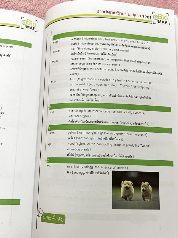 ►ออนดีมานด์◄ พี่วิเวียน หนังสือกวดวิชาคอร์สรากศัพท์ชีววิทยา ม.ปลาย ในหนังสือมีสรุปเนื้อหาสมบูรณ์ มีแยกหมวดคำศัพท์ทางชีววิทยาแบ่งออกเป็น Prefix , Suffix และ Root แบบฝึกหัดไม่มีจด และไม่มีเฉลย มี Update ข้อสอบด้านหลัง หนังสือพิมพ์สีทั้งเล่ม หนังสือหนาเพียงแ