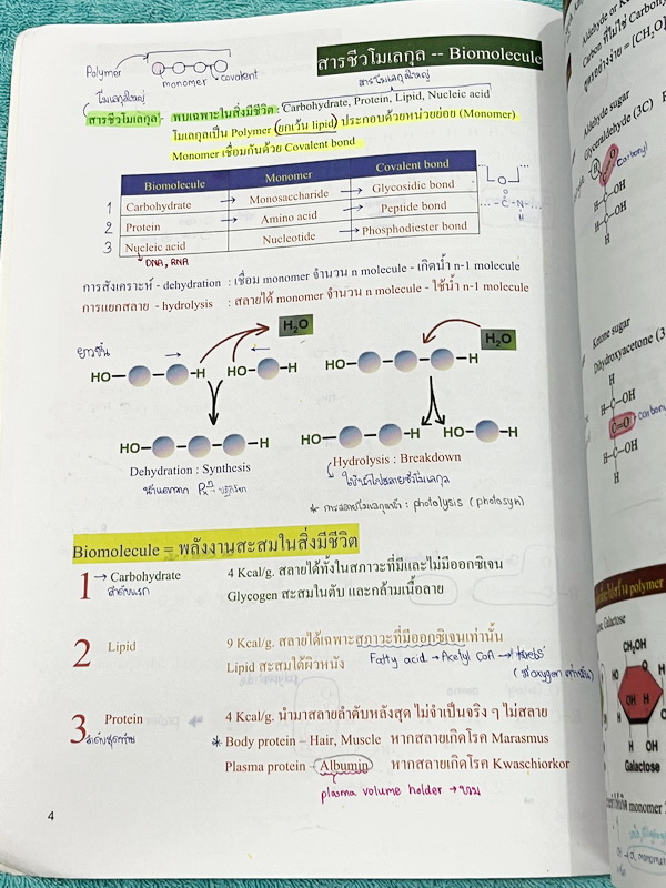 ►หมอพิชญ์ ไบโอบีม◄ Art Beam 2nd Edition อาร์ทบีมหมอพิชญ์ 2nd Edition สรุปเนื้อหาชีววิทยาทั้งหมด ครบทุกบททุกเรื่อง พิมพ์สีสวยงามทั้งเล่ม จดครบเกือบทั้งเล่ม จดละเอียด *มุมปกล่างมีรอยตัดเล็กน้อย*