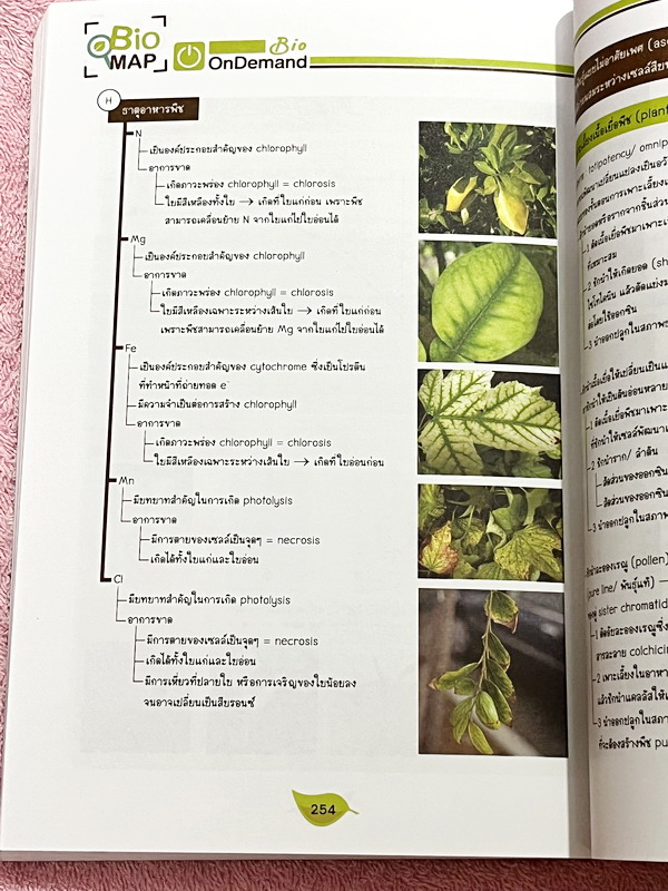 ►หนังสือสรุปชีววิทยา◄ ครบเซ็ท หนังสือกวดวิชา Ondemand ออนดีมานด์ พี่วิเวียน นพ.วีรวัช Biomap ชีววิทยาเล่ม 1+2 สรุปเนื้อหาวิชาชีววิทยาระดับชั้น ม.ปลายทั้งหมด ครอบคลุมเนื้อหาตั้งแต่ชั้น ม.4-5-6 เนื้อหาลึกถึงสอบเข้ามหาวิทยาลัยเนื้อหาตีพิมพ์สมบูรณ์ หนังสือพิม