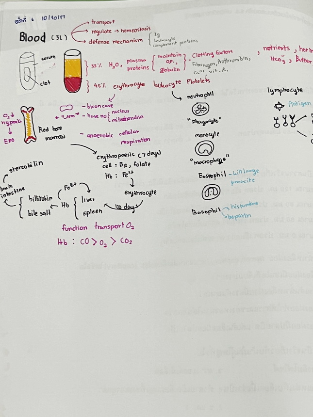 ►สอบเข้ามหิดล◄ ครูบาส Further Academy ตะลุยโจทย์ชีวะเพื่อการแข่งขัน ม.ต้น โค้งสุดท้ายเข้ามหิดล มีรวมข้อสอบแข่งขันเพื่อเตรียมตัวสอบเข้าม.4โรงเรียนมหิดลวิทยานุสรณ์ โจทย์ข้อสอบมีจดเฉลยบางข้อ จดละเอียด และไม่มีเฉลย หนังสือเล่มหนาใหญ่ *หนังสือมีรอยคราบเปียกน้ำ