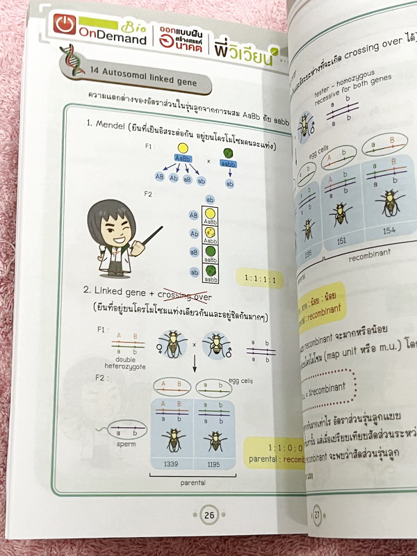 ►Bio Code◄ หนังสือชีววิทยาพี่วิเวียน ออนดีมานด์ Bio Code รวม Trick เทคนิคการจำ อารมณ์คล้ายๆสูตรลัดของคณิตศาสตร์ ออกแบบอ้างอิงการจดจำของสมอง เห็นปุ๊บ ตอบได้ปั๊บ ประหยัดเวลาด้วย Bio Code // ในหนังสือมีเขียนเล็กน้อย หนังสือพิมพ์สีสวยงามทั้งเล่ม หนังสือมีขนาด