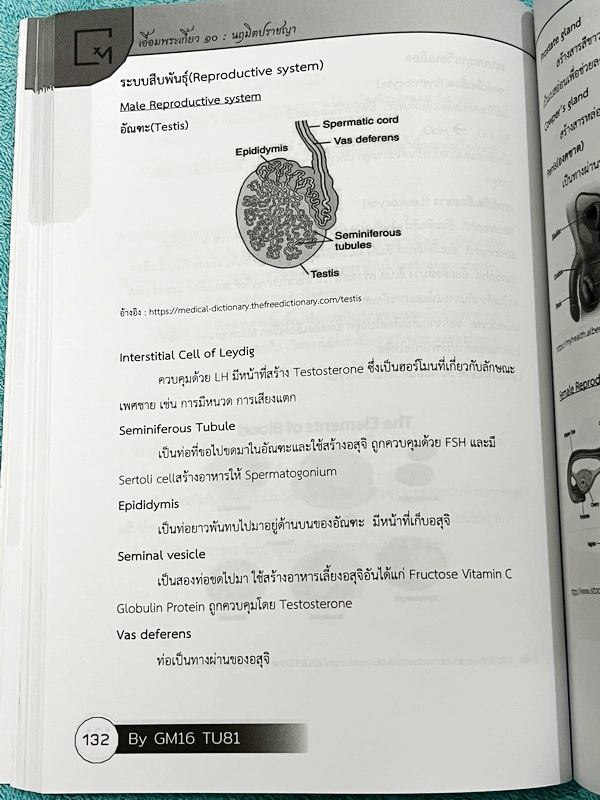 ►สอบเข้าเตรียมอุดม◄ เอื้อมพระเกี้ยว 10 นฤมิตปราชญา เรียบเรียงโดย น.ร.ในโครงการพัฒนาศักยภาพด้านคณิตศาสตร์รุ่นที่ 16 โรงเรียนเตรียมอุดมศึกษา หนังสือสรุปเนื้อหาสำคัญวิชาวิทยาศาสตร์ ภาษาอังกฤษ พร้อมแบบฝึกหัดและคำอธิบายเฉลยละเอียด มีเนื้อหาเพื่อเตรียมสอบเข้า ร