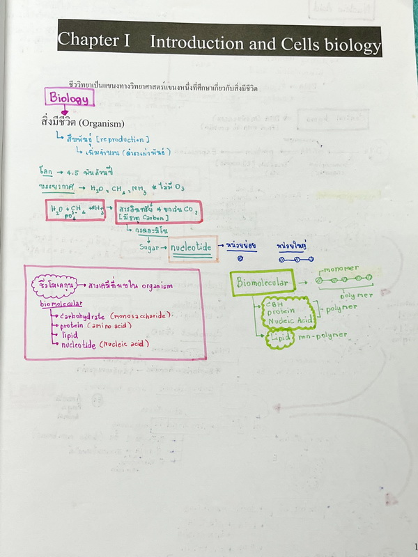 ►หนังสือเรียนชีวะ ม.ต้น◄ หนังสือกวดวิชาหมอพิชญ์ไบโอบีม Fundamental Biology ชีววิทยา ม.ต้น Biobeam สรุปเนื้อหาทุกบทในวิชาวิทยาศาสตร์ชีววิทยาระดับชั้นมัธยมศึกษาตอนต้น เนื้อหายากลึกถึงสอบเข้า ม.4 ร.ร.ดัง จดครบเกือบทั้งเล่ม จดด้วยดินสอและปากกาสีสวยงาม มีวาดรู