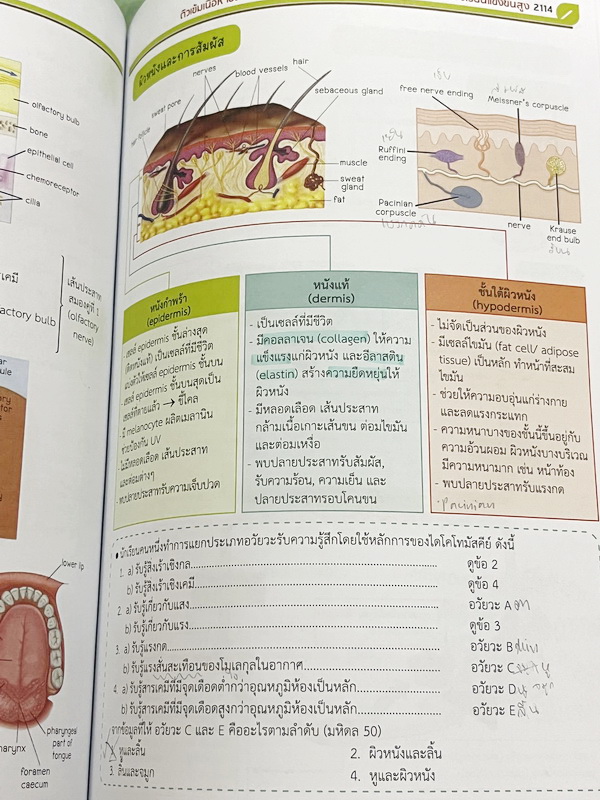 ►สอบเข้ากำเนิดวิทย์,มหิดล,เตรียมอุดม◄ หนังสือกวดวิชาออนดีมานด์ พี่วิเวียน ติวเข้มเนื้อหาชีววิทยา สอบเข้าเตรียมอุดม มหิดล กำเนิดวิทย์ และโรงเรียนแข่งขันสูง มีสรุปเนื้อหาและโจทย์แบบฝึกหัดประจำบท เนื้อหาตีพิมพ์สมบูรณ์ โจทย์มีความยากระดับ Advanced เหมาะสำหรับ