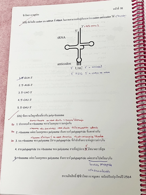 ►อ.หมูแดง◄ ชีววิทยาอาจารย์หมูแดง ชีววิทยาเพื่อสอบแพทย์ กสพท.และสอบเข้ามหาลัย จดครบเกือบทั้งเล่ม จดละเอียด หนังสือใส่ปกสันเกลียว เปิดอ่านง่าย หนังสือเล่มหนาใหญ่