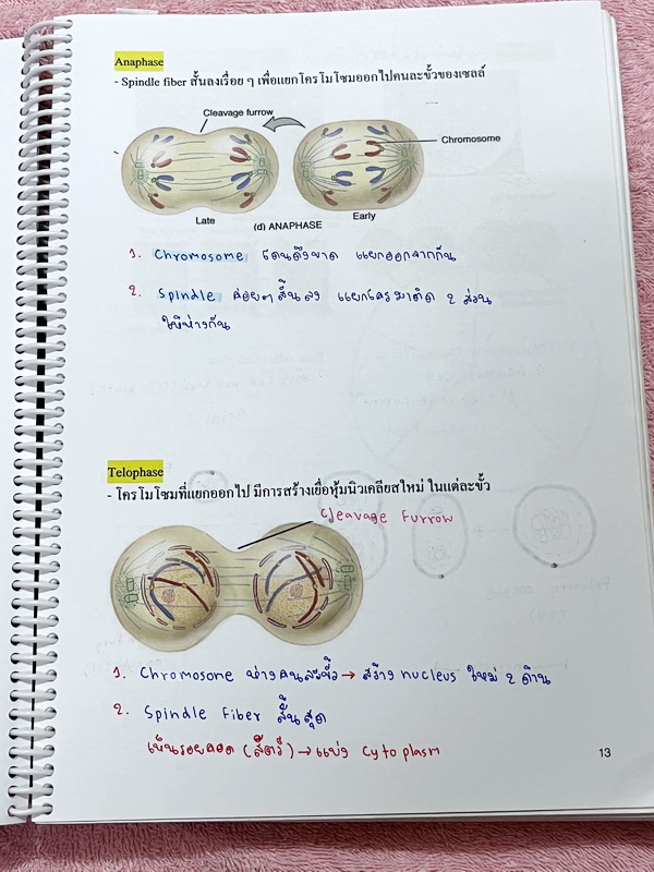 ►หมอพิชญ์ Biobeam◄ หนังสือเรียนชีววิทยา คอร์ส ICU ไอซียู ครบเซ็ท 8 เล่ม พร้อมไฟล์จดเนื้อหาครบทั้งเซ็ทแบบละเอียดมากครบทั้ง 8 เล่ม และไฟล์ชีทเสริม ในหนังสือเล่ม 1-3 มีจดบางหน้า จดละเอียด เล่ม 4-8 มีจดเล็กน้อย แบบฝึกหัดประจำบทมีจดเฉลยบางข้อ ส่วนข้อที่ไม่ได้จ