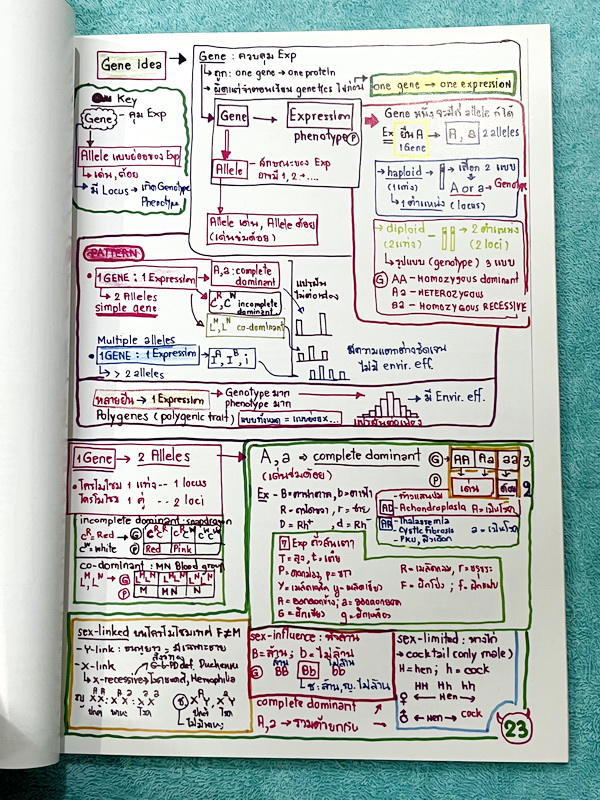 ►หมอพิชญ์ Biobeam◄ Art Beam Shortnote อาร์ทบีม หมอพิชญ์ไบโอบีม สรุปเนื้อหาวิชาชีววิทยาทั้งหมดด้วยลายมือของหมอพิชญ์เอง อาจารย์ลงมือเขียนและวาดรูปเองทุกหน้า พิมพ์สีสวยงาม กระดาษอาร์ทมันอย่างดีทั้งเล่ม *หน้าปกหนังสือมีรอยยับ *