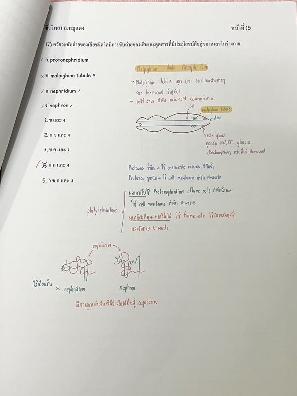 ►อ.หมูแดง◄ ชีววิทยาอาจารย์หมูแดง ข้อสอบแบบจับเวลา 3 ชุด + ข้อสอบพิเศษอีก 1 ชุด รวม 4 ชุด ชุดละ 50 ข้อ รวมทั้งหมด 200 ข้อ มีจดเฉลยครบเกือบทั้งหมด