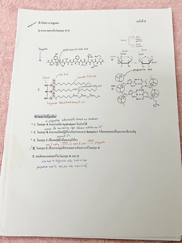 ►อ.หมูแดง◄ ชีววิทยาอาจารย์หมูแดง ข้อสอบแบบจับเวลา 3 ชุด + ข้อสอบพิเศษอีก 1 ชุด รวม 4 ชุด ชุดละ 50 ข้อ รวมทั้งหมด 200 ข้อ มีจดเฉลยครบเกือบทั้งหมด
