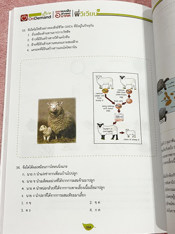 ►สอบเข้าเตรียมอุดม◄ หนังสือกวดวิชาพี่วิเวียน ออนดีมานด์ Upskill ตะลุยโจทย์ชีววิทยา เพื่อสอบเข้าโรงเรียนเตรียมอุดม เน้นฝึกทำโจทย์ทั้งเล่ม มีโจทย์ครบทุกเรื่องทุกบท โจทย์มีความยากระดับ Advanced เหมาะสำหรับเด็กที่มีพื้นฐานดี หนังสือไม่มีรอยขีดเขียน ไม่มีเฉลย