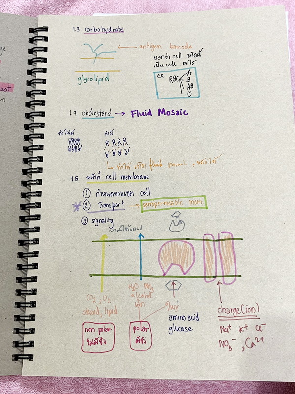 ►Eureka◄ หนังสือกวดวิชาชีววิทยา ม.ปลาย อ.เอกฤทธิ์ ยูเรก้า + สมุดโน้ตในคอร์สเรียน 1 เล่ม ในหนังสือเน้นภาพสี กราฟ ตาราง และแผนภาพเกี่ยวกับวิชาชีววิทยาในระดับชั้น ม.ปลายรวมทุกบท ส่วนใหญ่ใช้ภาษาอังกฤษ และภาษาละตินประกอบคำอธิบาย หนังสือเล่มหนาใหญ่ มีน้ำหนัก พิ